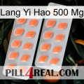 Lang Yi Hao 500 Mg 27